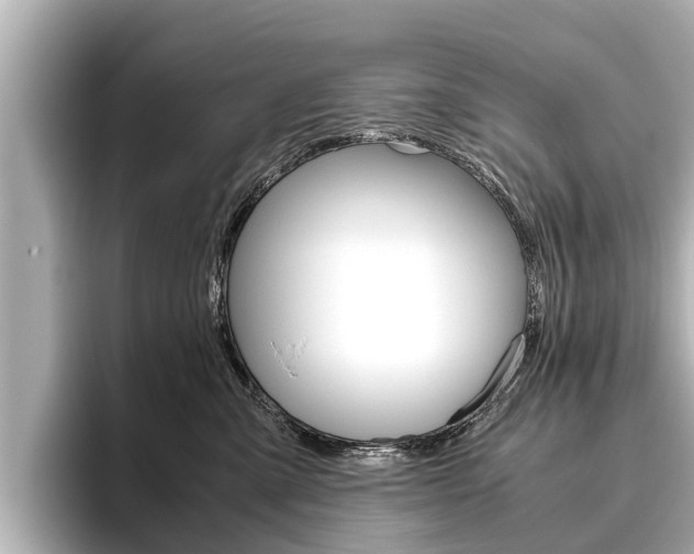 X0000096460427200801241122