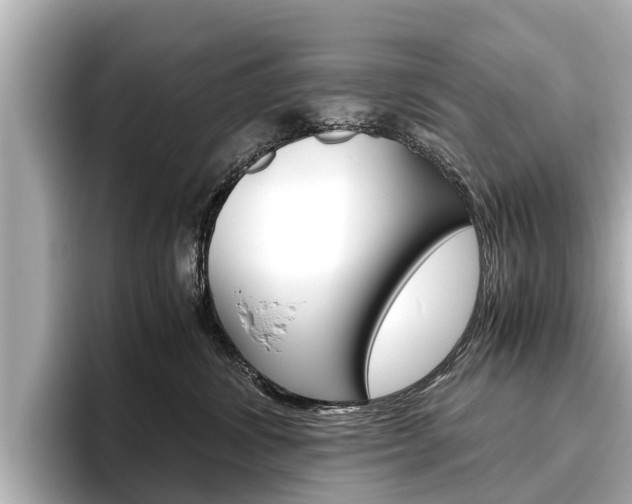 X0000096460428200801241122
