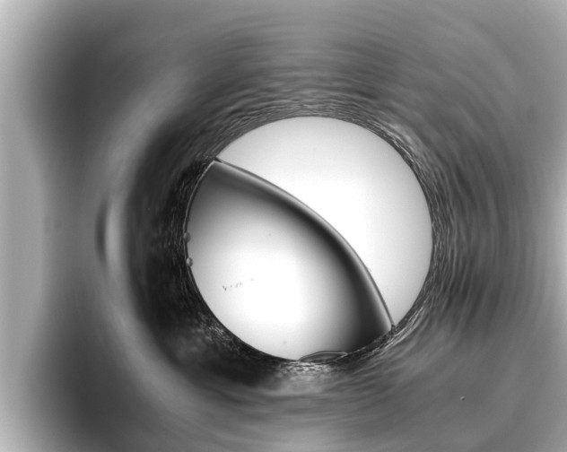 X0000096460429200801241122