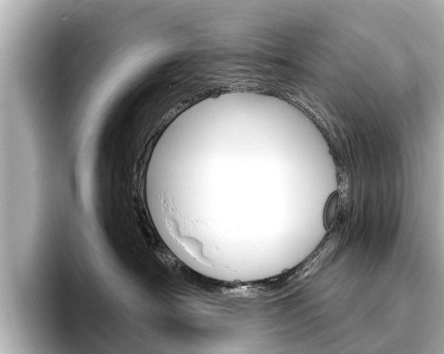 X0000096460430200801241122