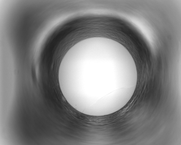 X0000096460431200801241122