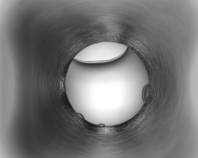 X0000096460432200801241122