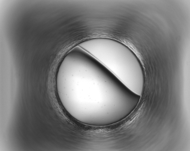 X0000096460433200801241121
