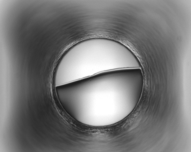 X0000096460434200801241121