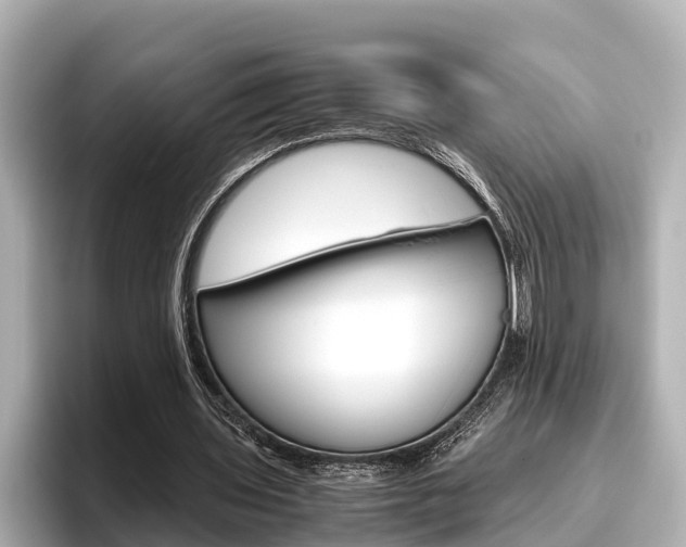 X0000096460435200801241121