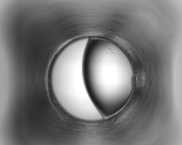 X0000096460436200801241121