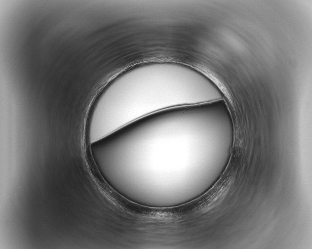 X0000096460437200801241121