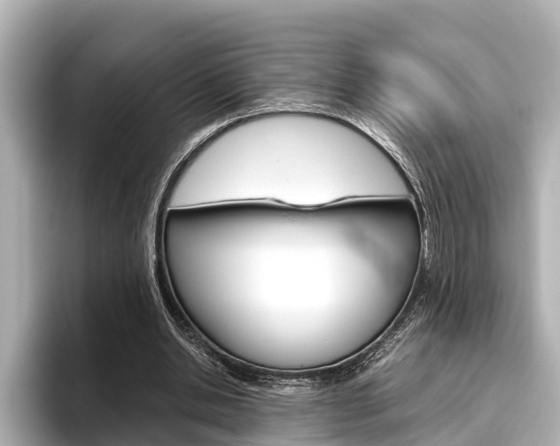 X0000096460438200801241121