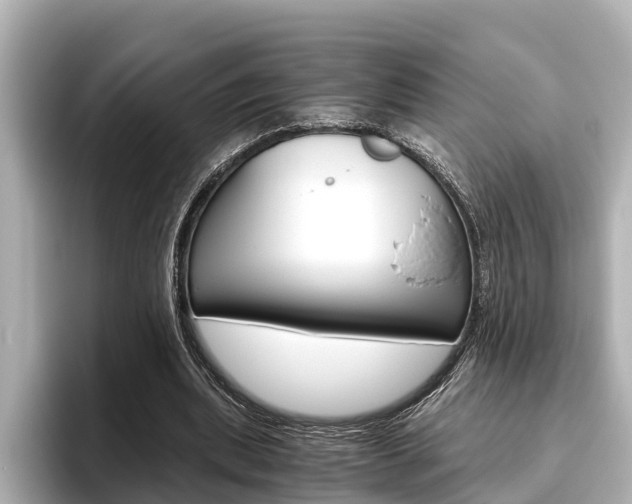 X0000096460439200801241121
