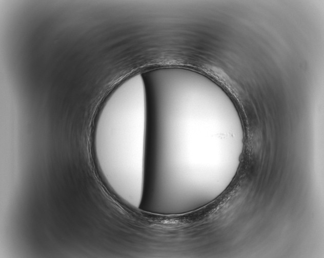 X0000096460441200801241121