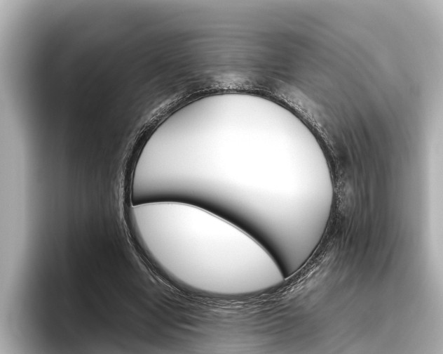 X0000096460442200801241121