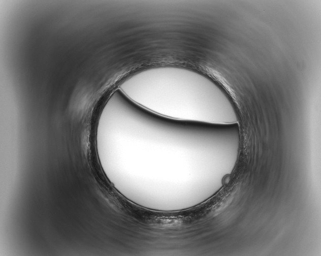 X0000096460443200801241121