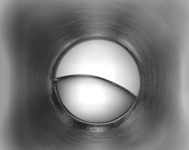 X0000096460444200801241121