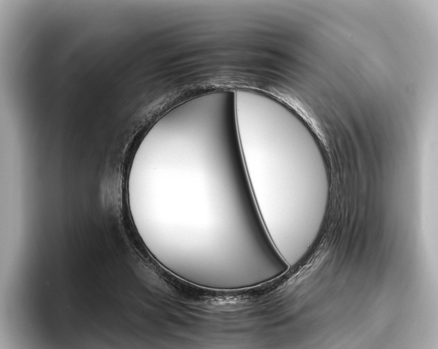 X0000096460445200801241121
