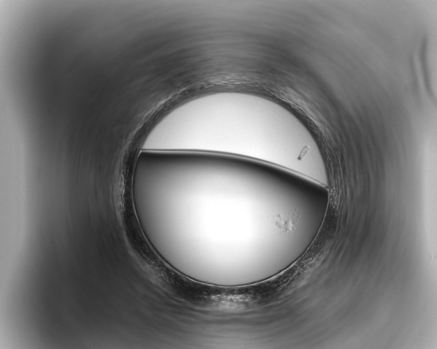 X0000096460448200801241121