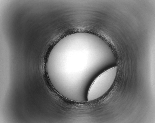 X0000096460450200801241121
