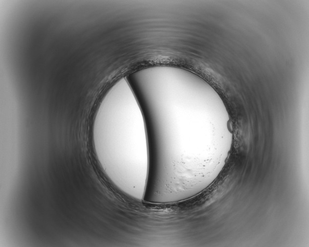 X0000096460454200801241121