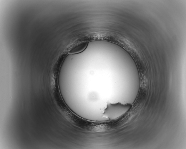 X0000096460456200801241121