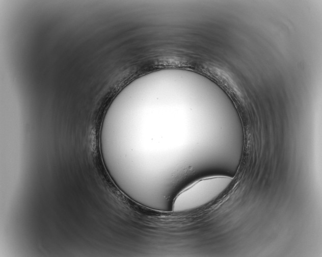 X0000096460457200801241121