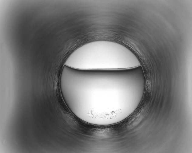 X0000096460458200801241121