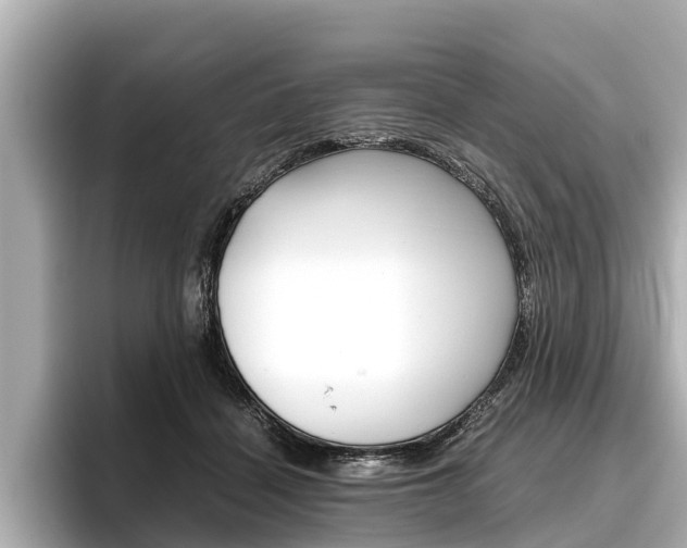 X0000096460460200801241121