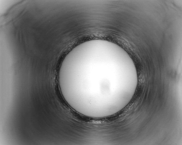 X0000096460464200801241121