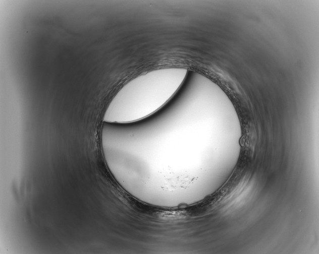 X0000096460465200801241121