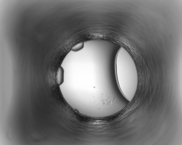 X0000096460467200801241121