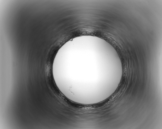 X0000096460468200801241121