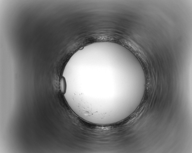 X0000096460469200801241121