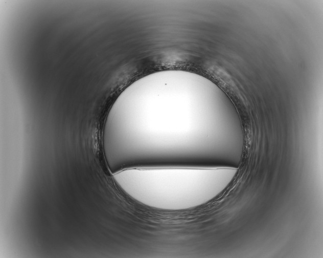 X0000096460470200801241121