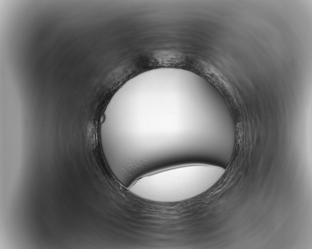 X0000096460471200801241121