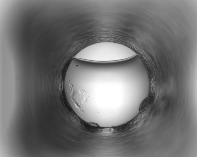 X0000096460474200801241121