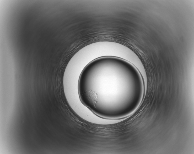 X0000096460475200801241121