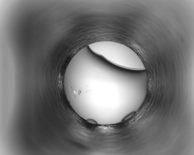 X0000096460477200801241122