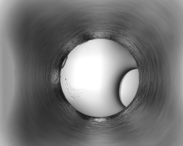 X0000096460478200801241122