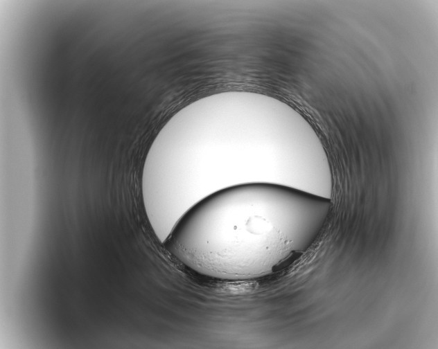 X0000096460479200801241122