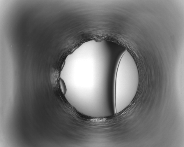 X0000096460480200801241122