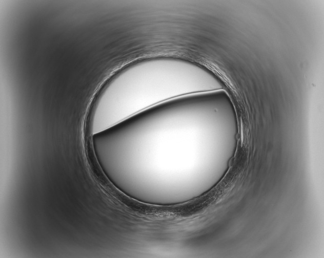X0000096460483200801241121
