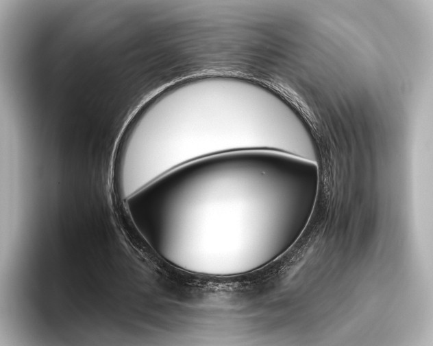 X0000096460484200801241121