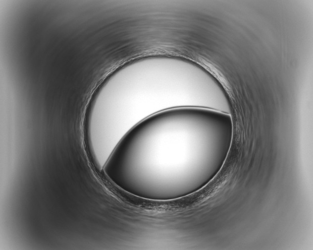 X0000096460485200801241121