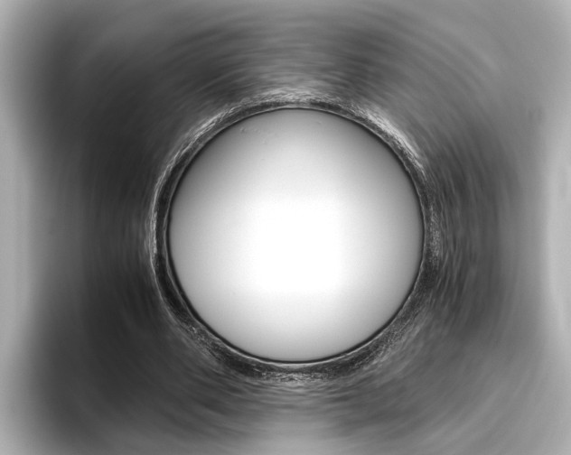 X0000096460486200801241121