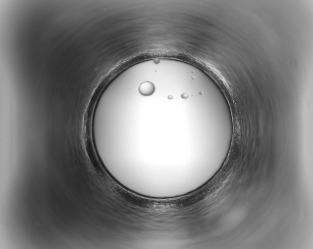 X0000096460487200801241121