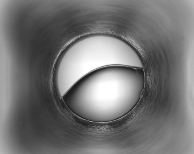 X0000096460488200801241121