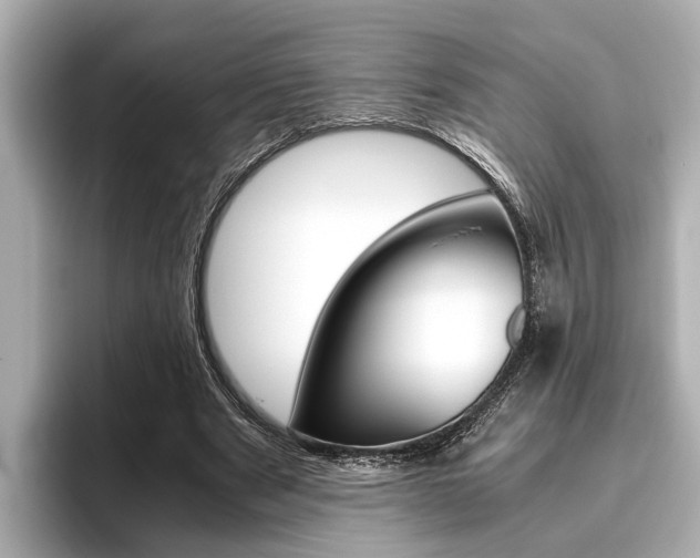 X0000096460489200801241121