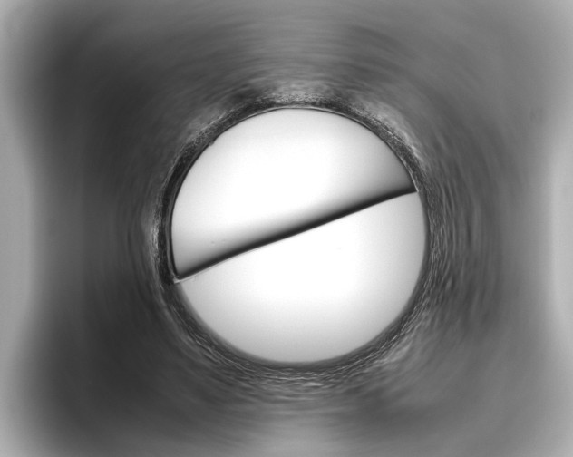 X0000096460491200801241121
