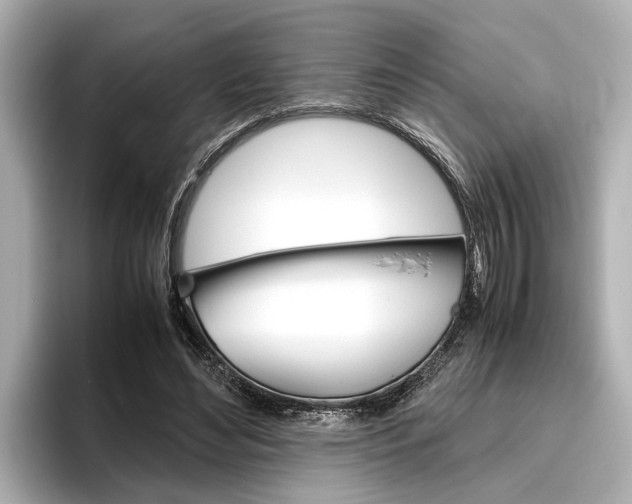 X0000096460492200801241121