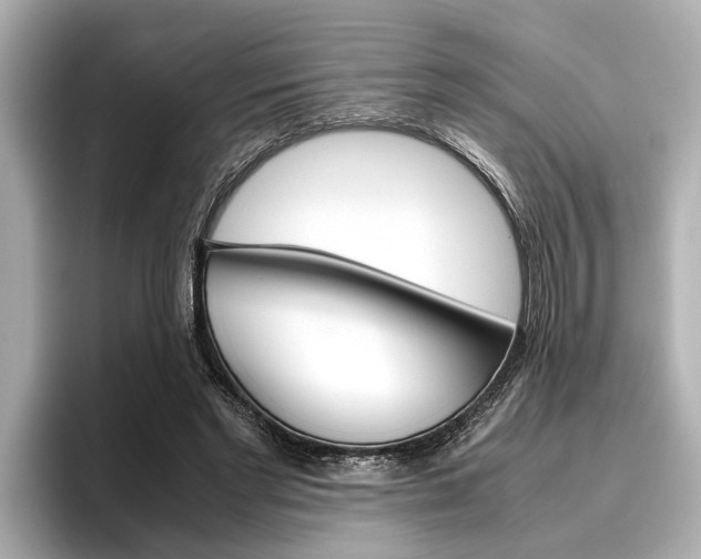 X0000096460493200801241121