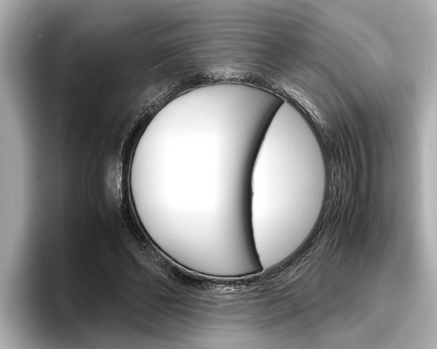 X0000096460494200801241121