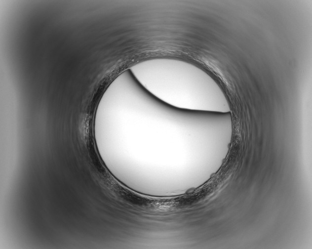 X0000096460495200801241121